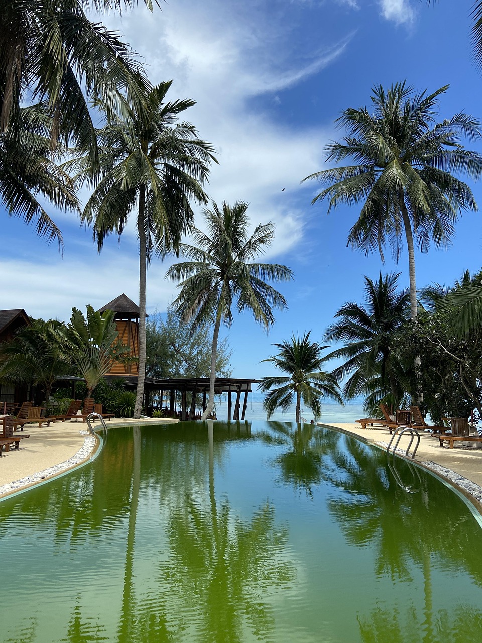 pool, pool side, infinity pool, swimming pool, green water, turquoise, vacations, blue sky, clouds, palm trees, the hotel, relaxation, luxury holiday, vitamin sea, pool side, pool side, infinity pool, infinity pool, infinity pool, infinity pool, infinity pool