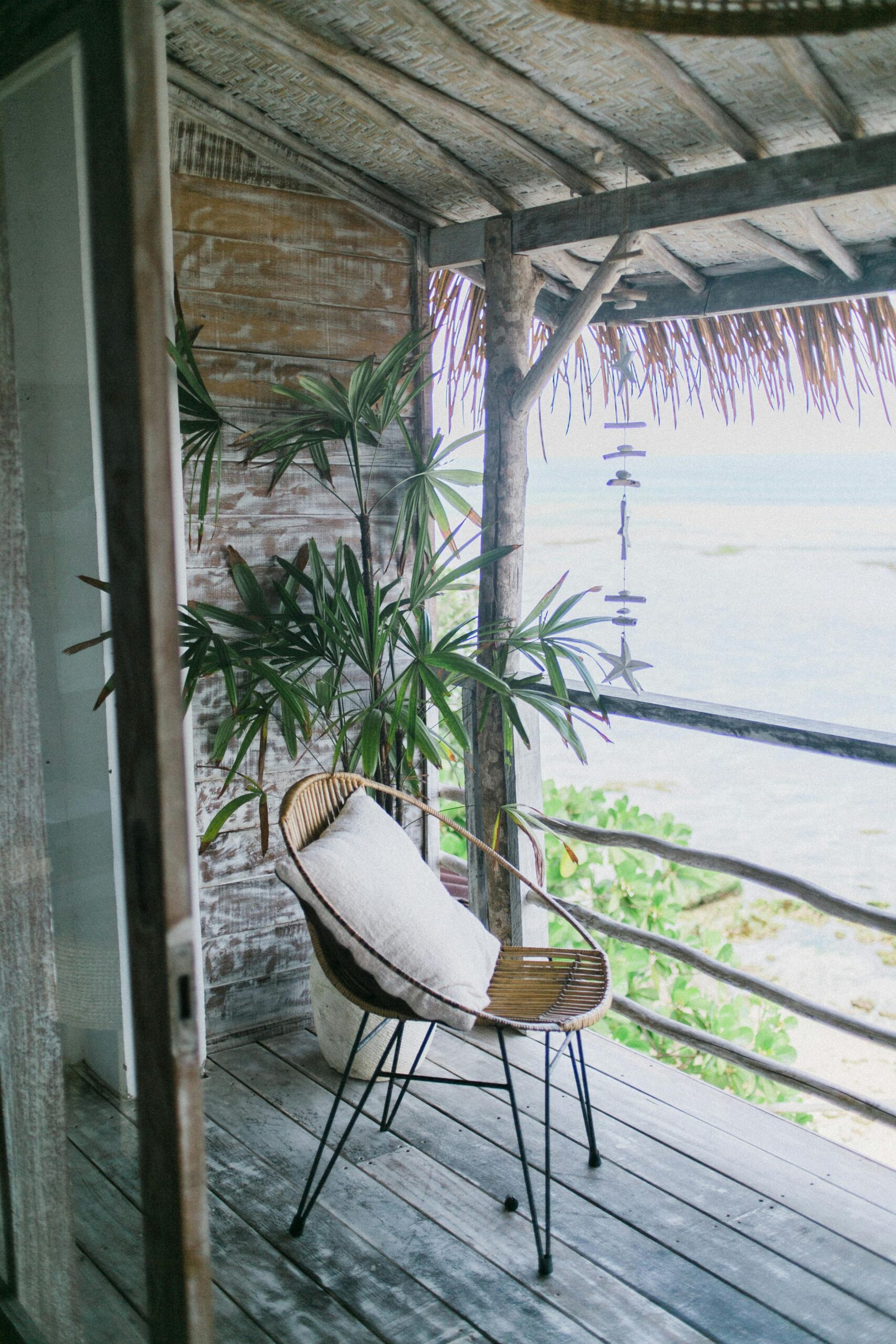White cushion in small round chair on terrace of simple wooden house decorated with green exotic plant in daytime